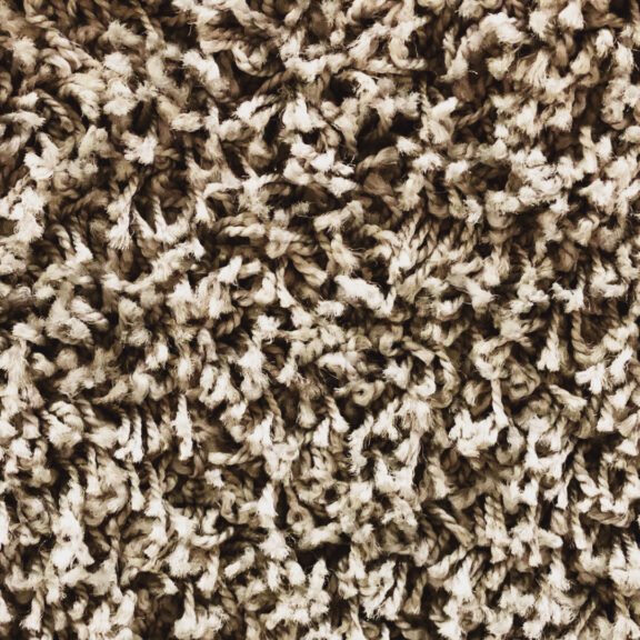 carpet carpet