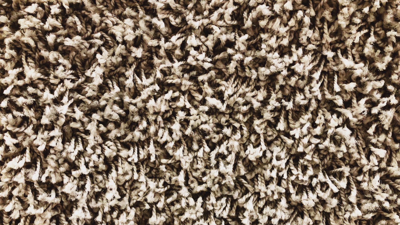carpet